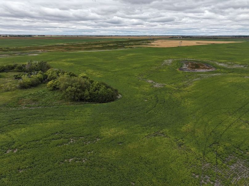 DJI_20250801161415_0725_D