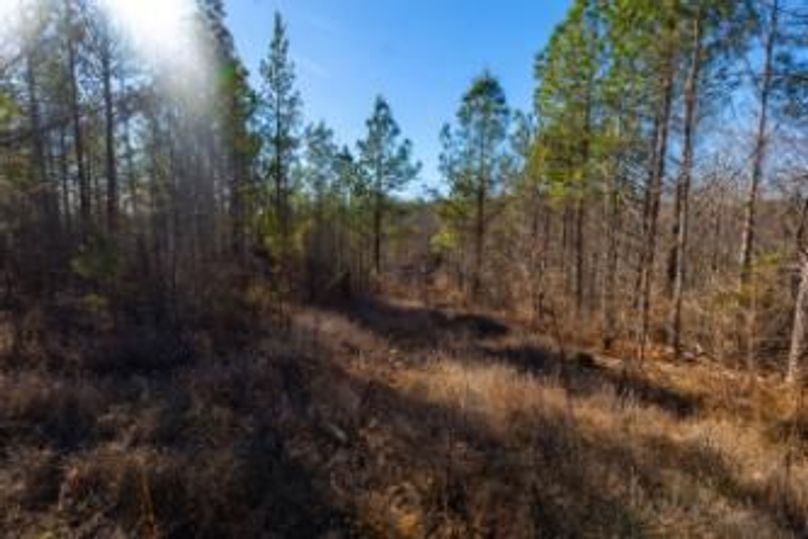 MCKINNON TRACT 29-08