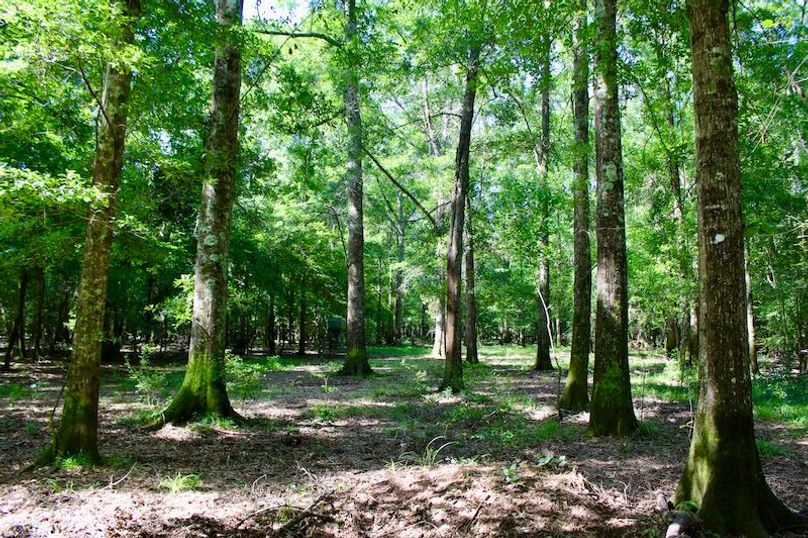 8D68F9D7-DFC1-4551-B29A-0806CF1B9988_1_201_a