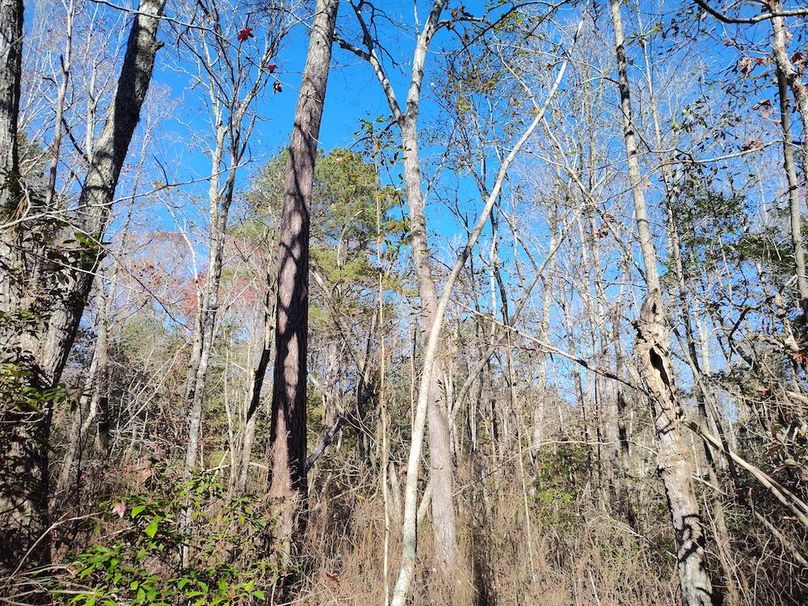 IMG_20251124_122429048