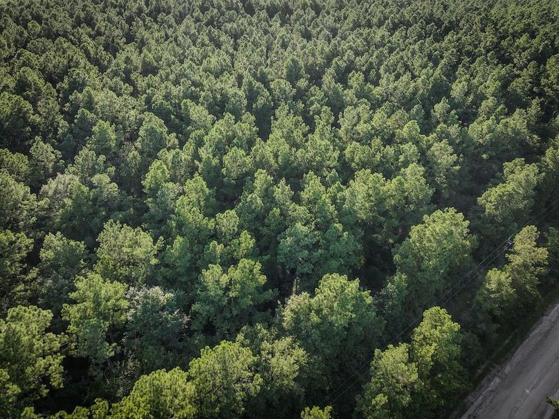 Copy of DJI_20240704185832_0007_D