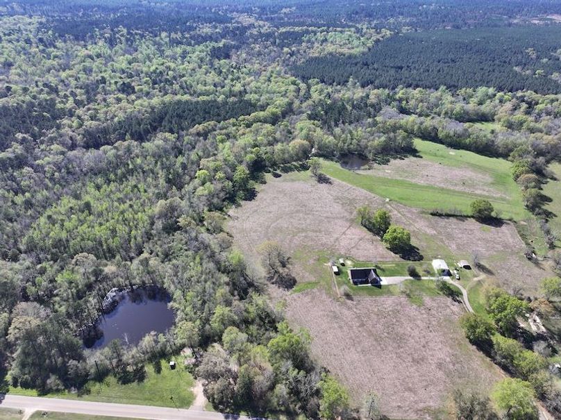 dji_fly_20260317_084606_0364_1773768891948_photo