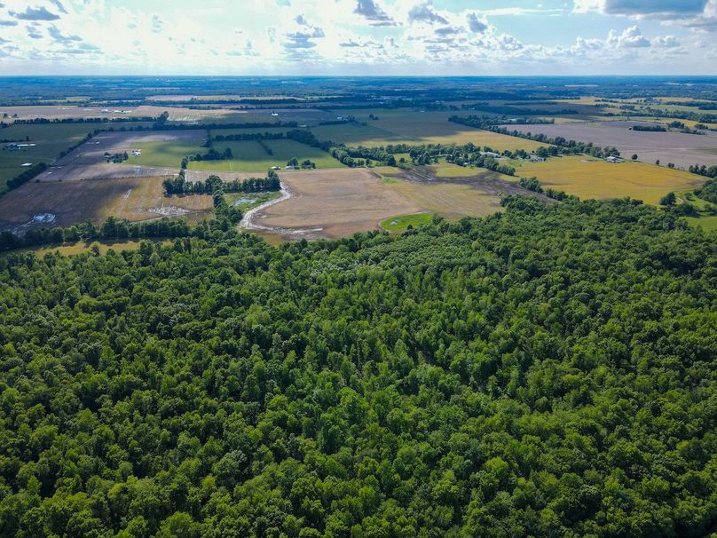 vandalia 450 (2)-3214