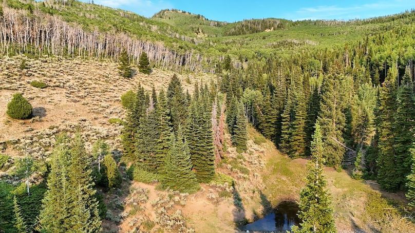 DJI_20250726184451_0241_D