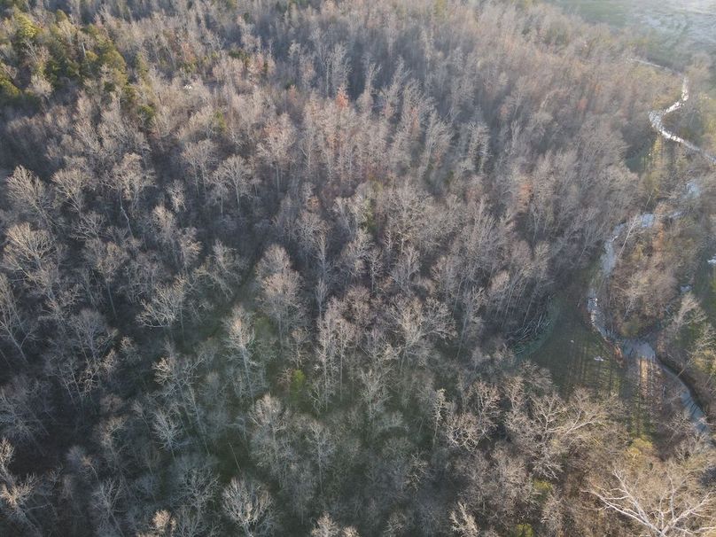 DJI_0309