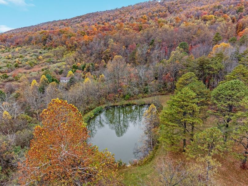 28-DJI_0297_ 291 Capon Springs Grade - Absolute Altitude - 10 - 2025 -28