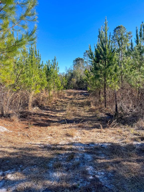 Pender NC 382 - Edits-48