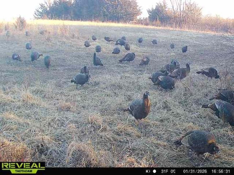 865814040391144-10-2-01312026165630-W1007248