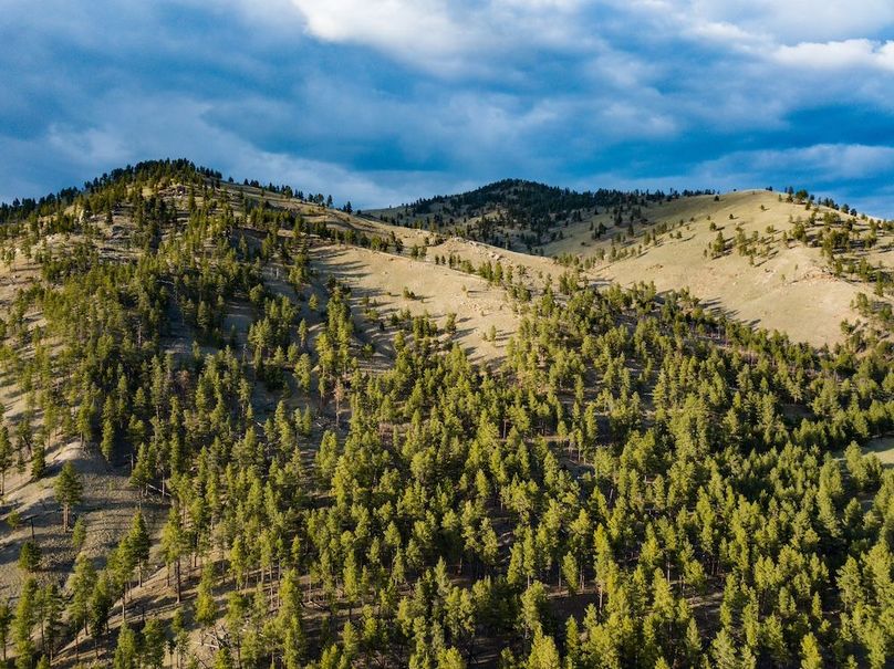 20250430-DJI_0029