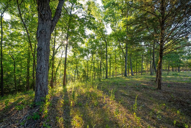 Webster MO 106 Featured_Pro Photo-62