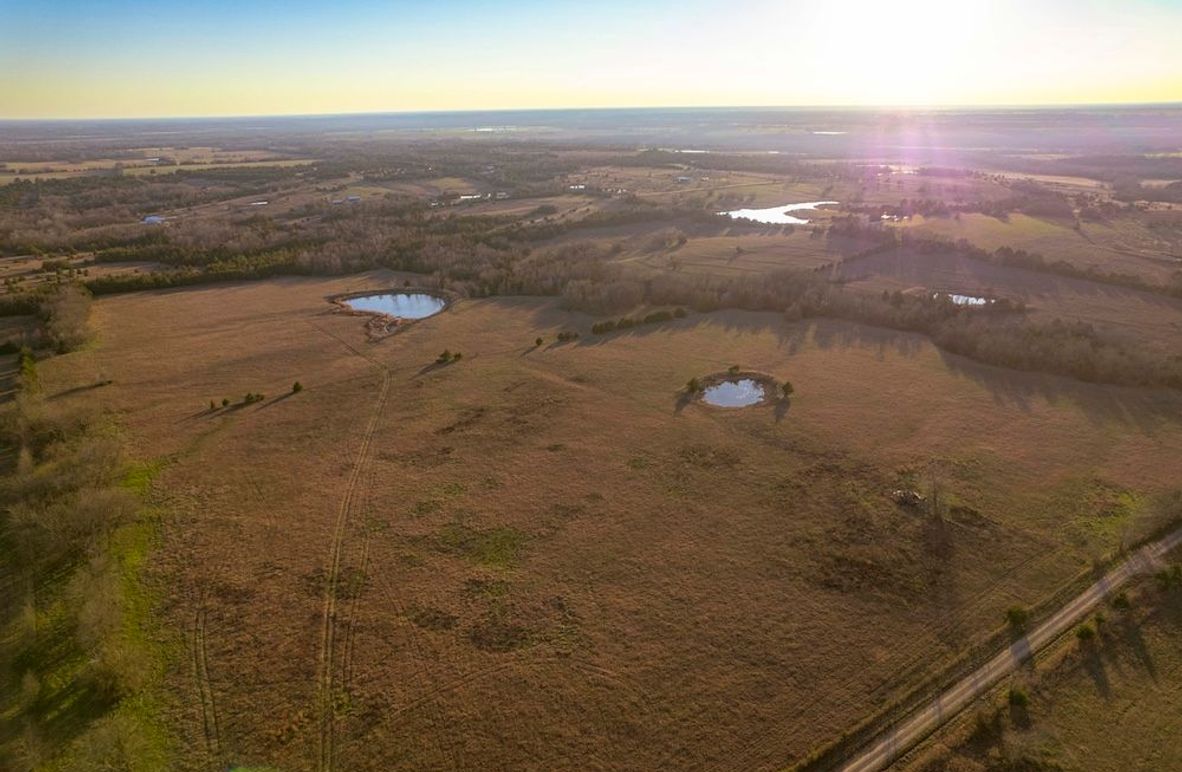 Lamar County 76.5 acres (4 of 23)