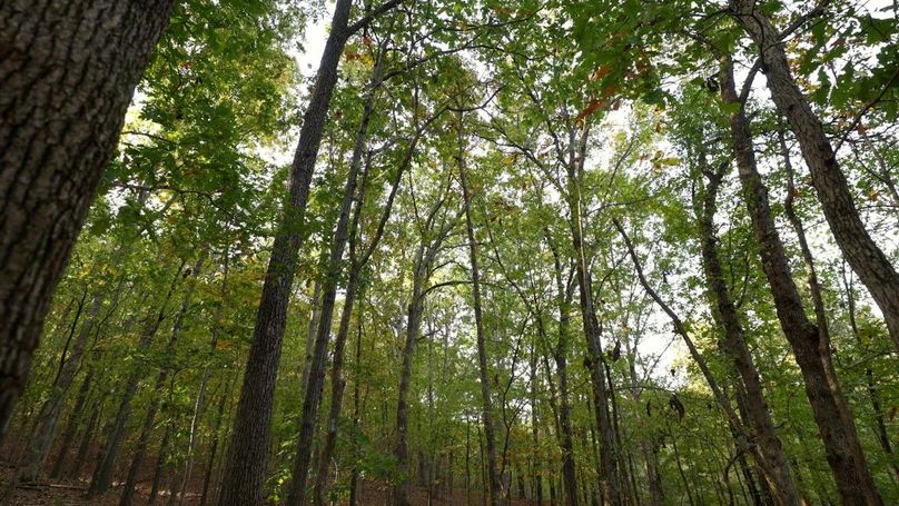 Sequence 07.00_01_27_11.Still139