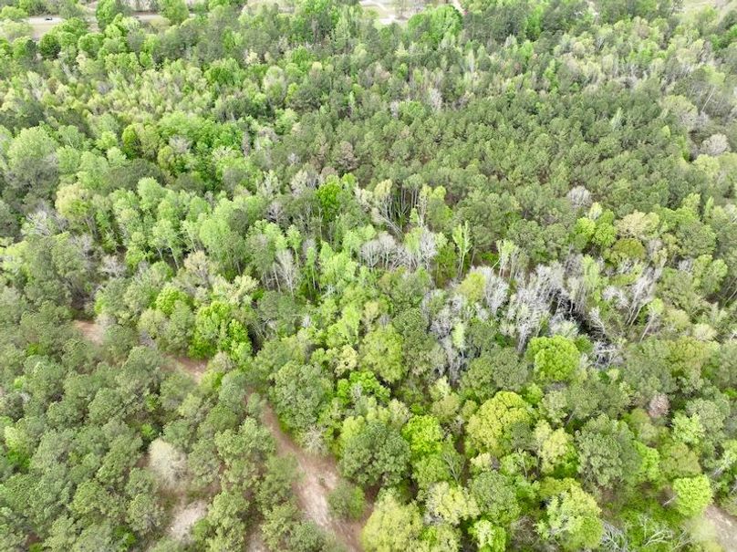 dji_fly_20260330_151834_447_1774898605028_photo