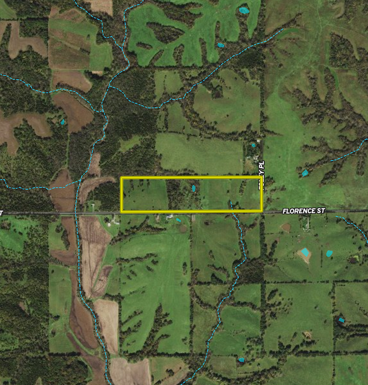 Screenshot 2024-03-08 at 6.54.49 PM