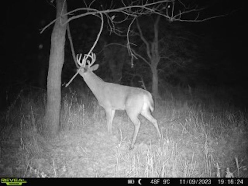 dbae8676-79b7-42eb-b020-ccf38c1e5e3e