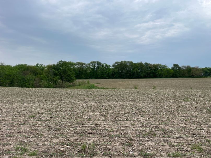 Photo 2023-05-15 03.31.52 PM