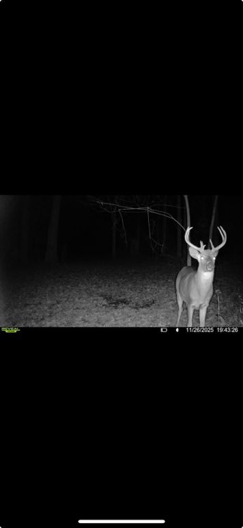 Screenshot 2026-01-06 at 4.30.53 PM