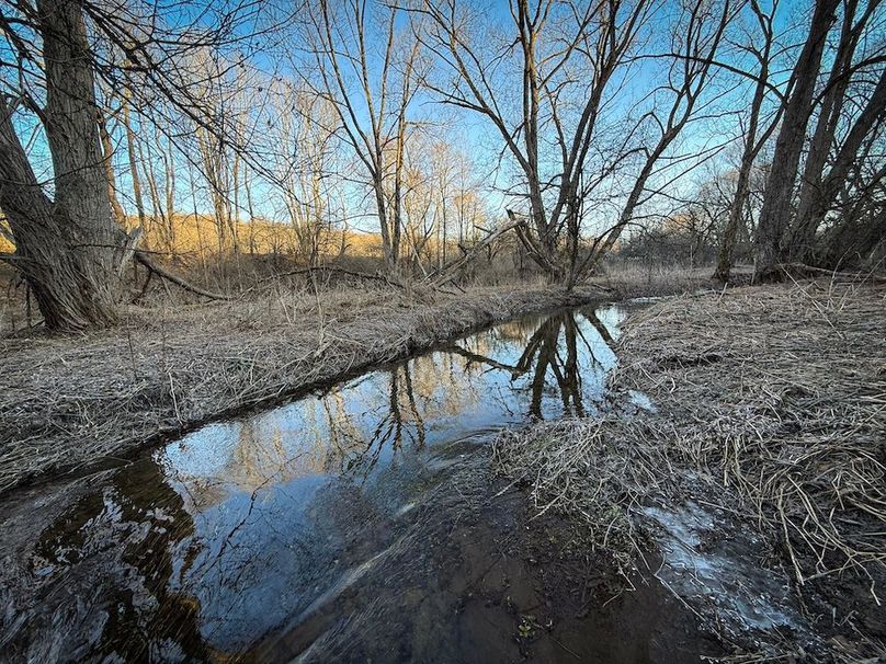 Cayuga 32 Stoyell Photos 59