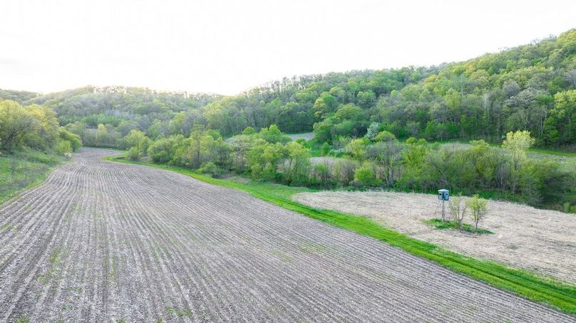 DJI_0332