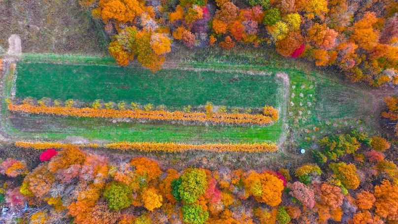 dji_fly_20251102_100232_0787_1762095968482_photo