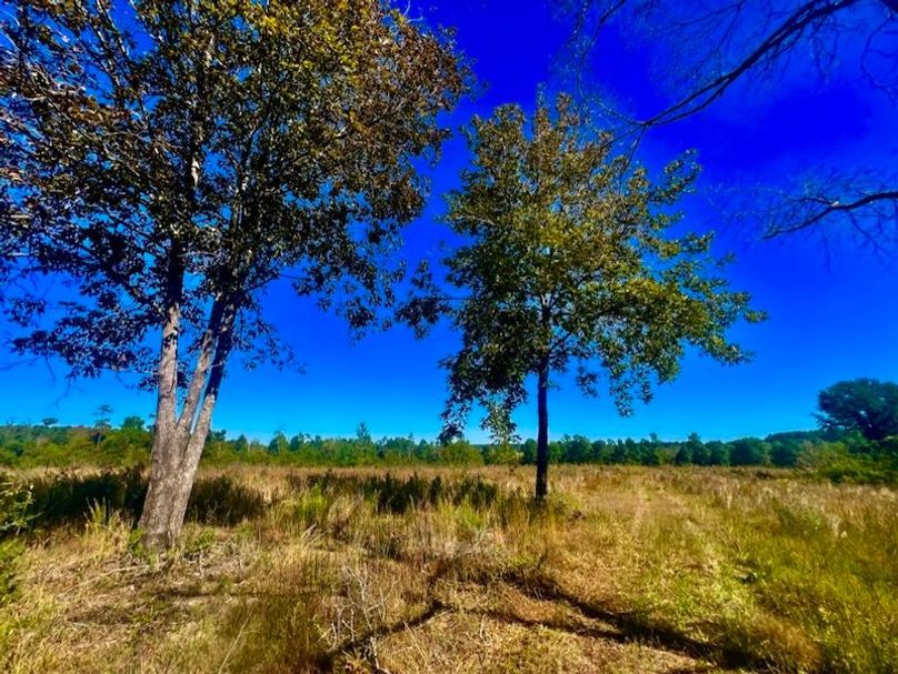 AAD19DA6-7D0D-4E14-81B8-2FA5944170A6_1_105_c