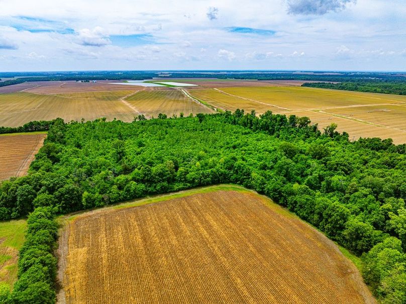 Copy of Noxubee 70 +- Tract 3-09