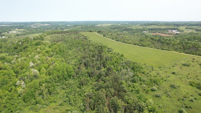 dji_fly_20250602_111812_275_1748877829060_photo