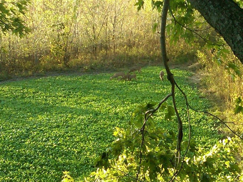 IMG00183-20111015-1713