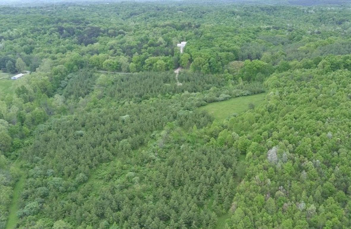 5587347_100DRONE_SING0025