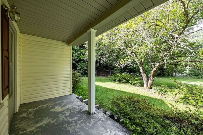 9-web-or-mls-58 Stillhouse Branch Rd 009