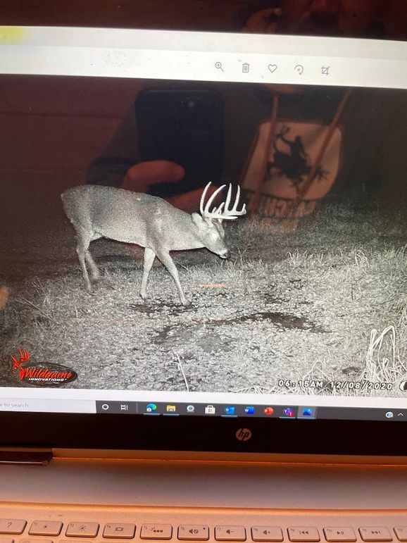 63262085577__44AA3D8B-4556-4867-8116-B69035C2A45D