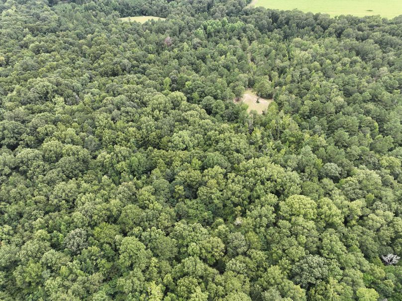 dji_fly_20230727_170506_402_1690507683546_photo 3