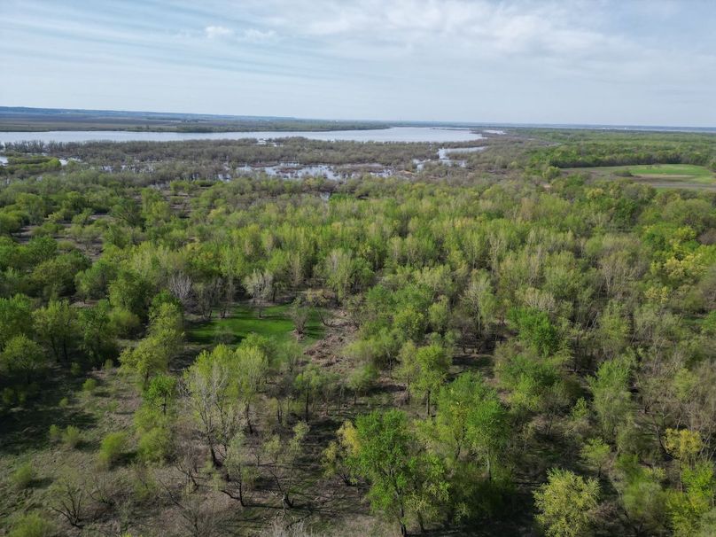 DJI_0251