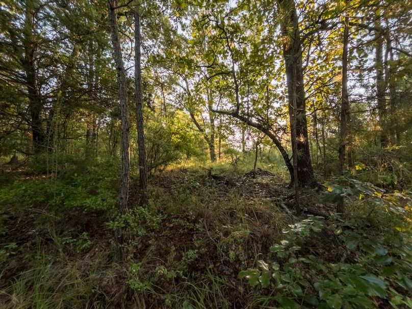 Madison Co - 40 - Clerk-26