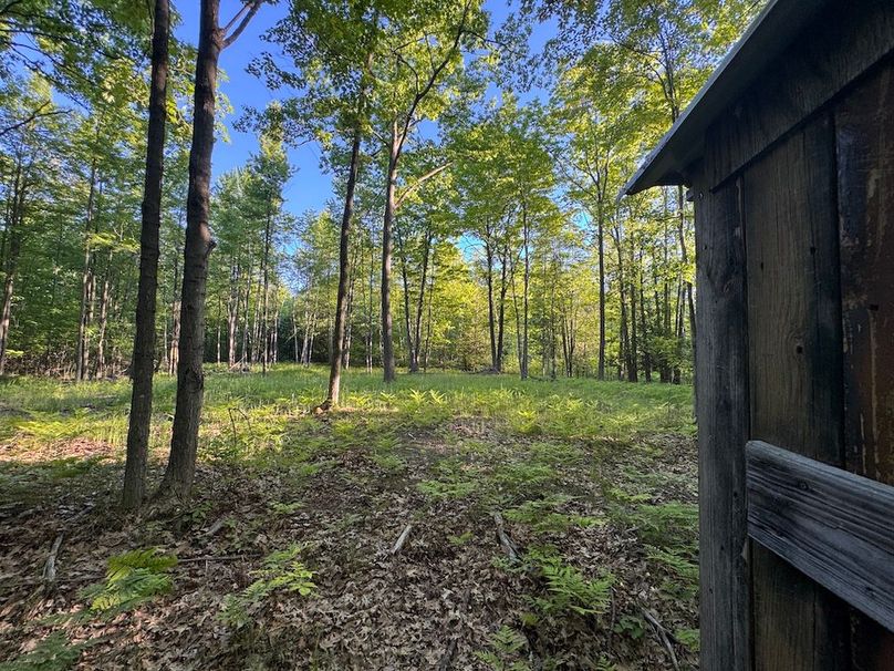 IMG_3242