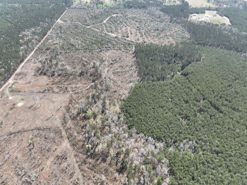 dji_fly_20260303_140346_305_1772637912221_photo