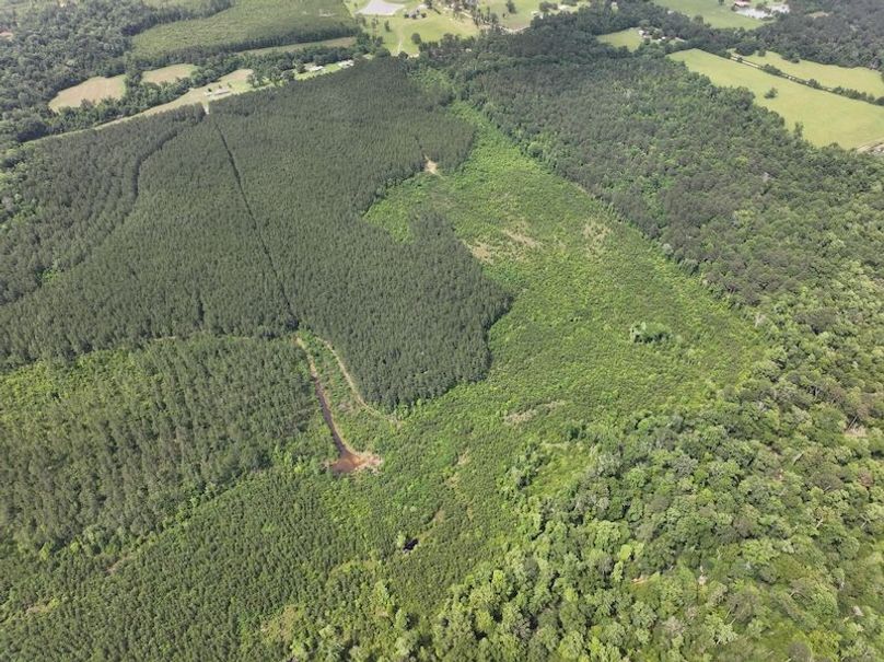 dji_fly_20260519_134310_0008_1779286792685_photo