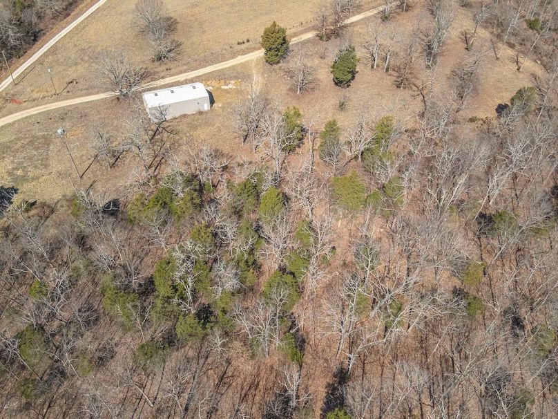 5-DJI_20260228121006_0008_W