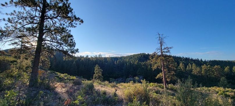 Copy of 20210827_072846