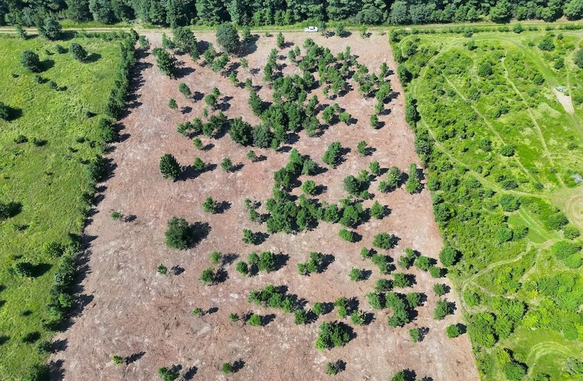 Lonoke Co 5_20250807_0005