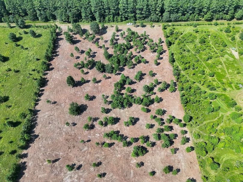 Lonoke Co 5_20250807_0005