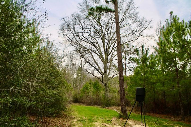 BFAFD592-6A8A-47D9-A7C0-ACFBF685584D_1_105_c