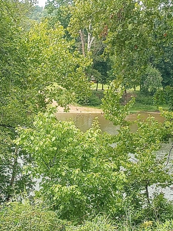 IMG_20230801_135643981