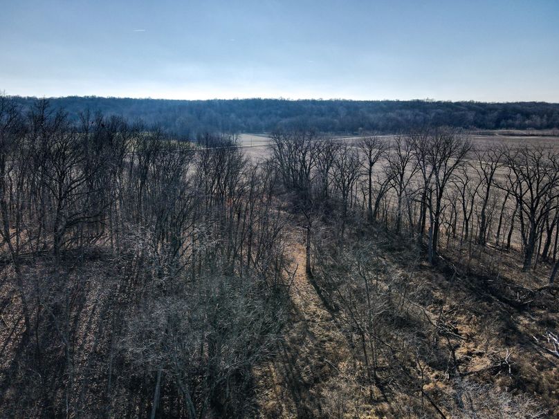 vandalia 450 (2)-666