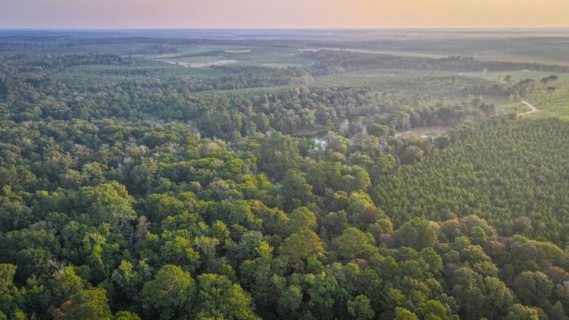 DJI_20250918072224_0072_D