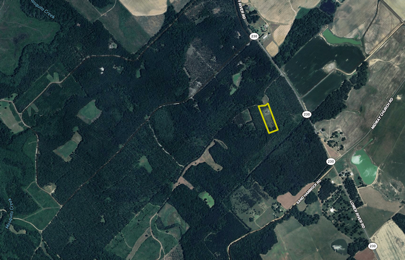 Screenshot 2025-11-12 at 12.31.58 PM