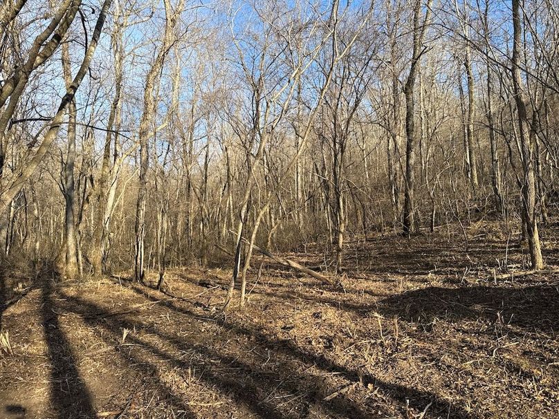 DJI_20260113_153634_156