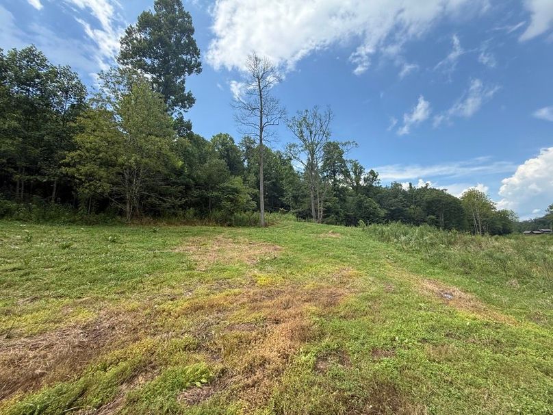 028 open field area near the middle of the property