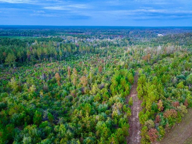 2E8BBF4F-DE59-47DA-9BC3-94FC1D7522E4_1_105_c