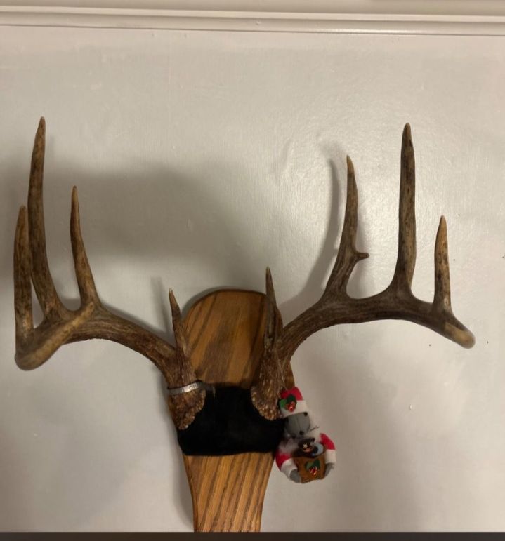 Screenshot_20260424_095552_Messages